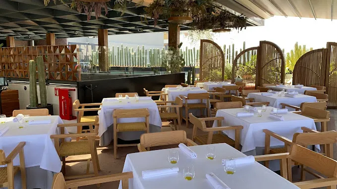 Terraza Centro 5