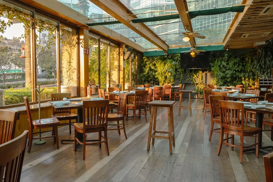 Terrazas en Satélite