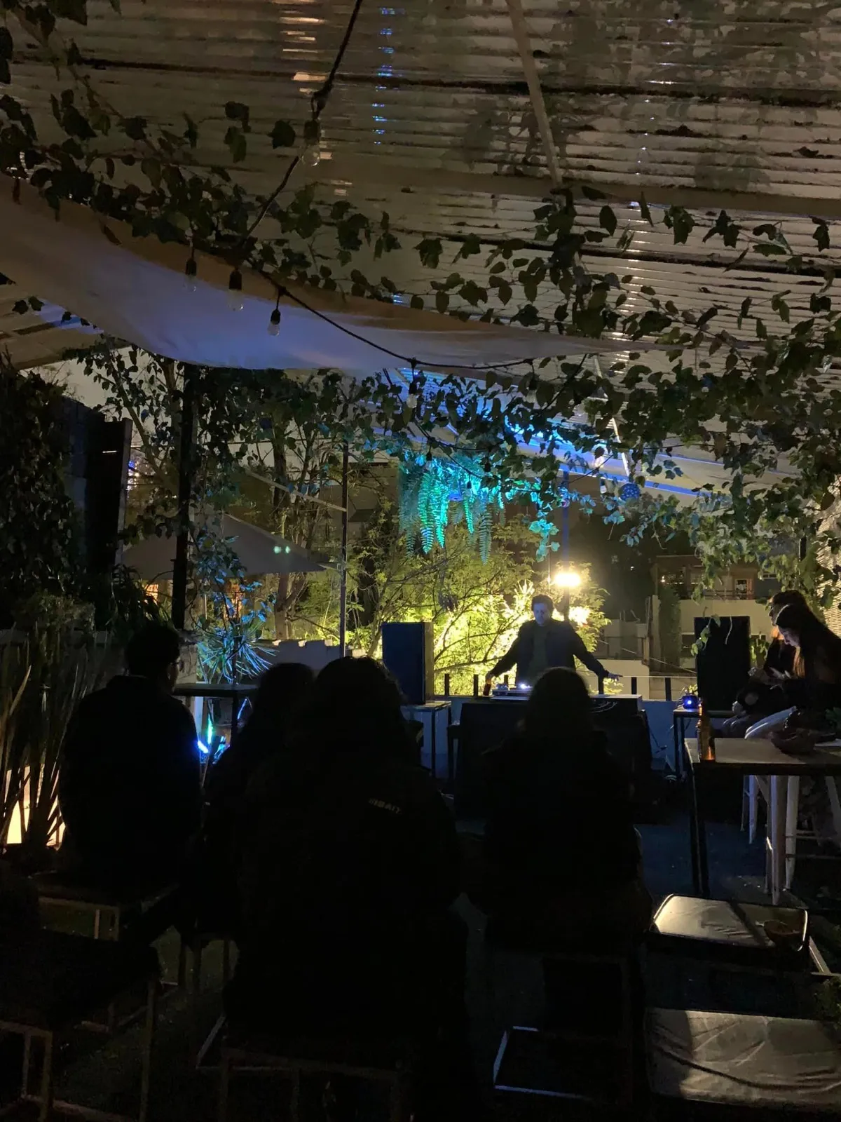 Terraza Condesa 2