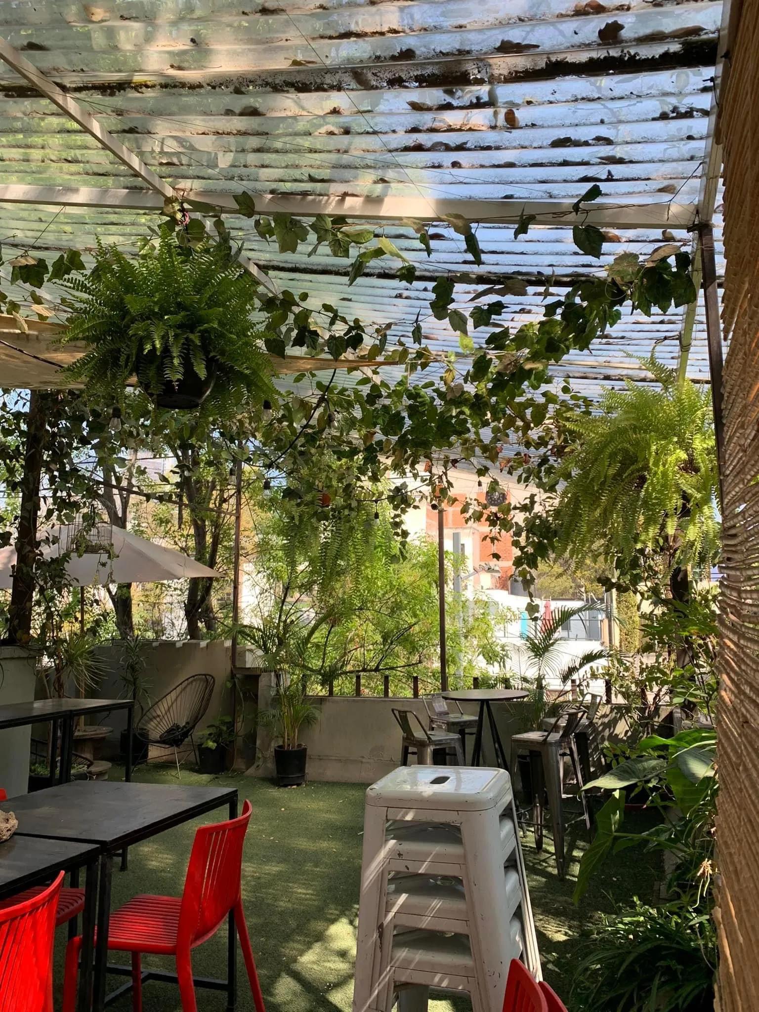 Terraza Condesa 2