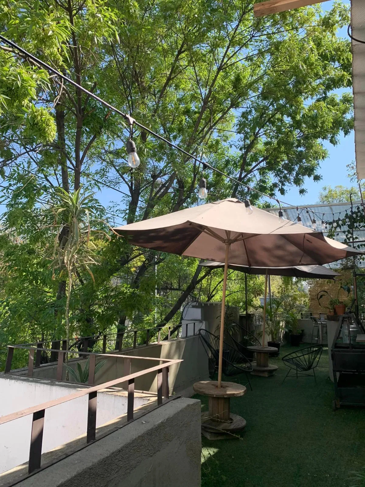 Terraza Condesa 2