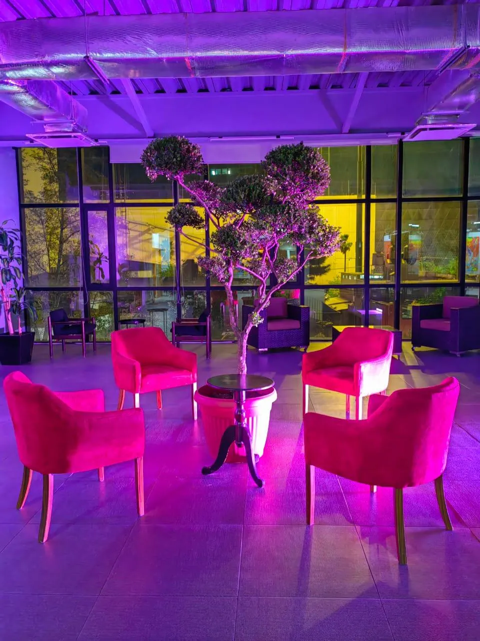 Terraza Nápoles 6