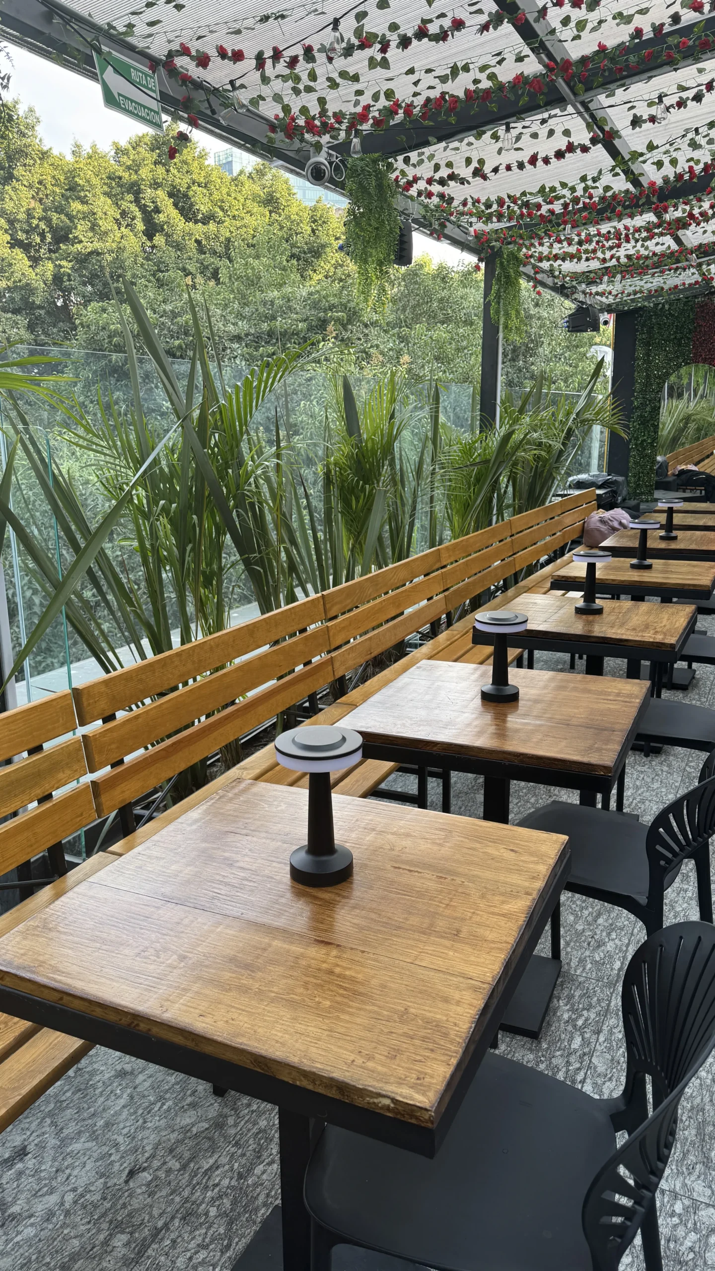Terraza Juárez 2 techada con vegetación y mobiliario de madera