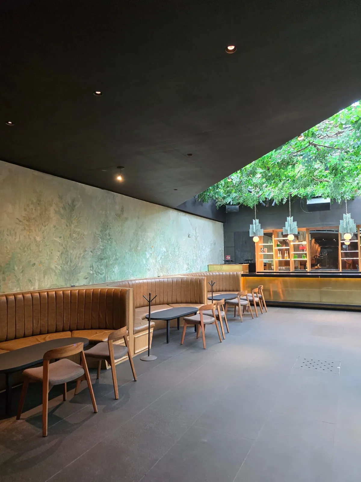Terraza Palmas 1 — imagen 11 del venue para eventos en CDMX