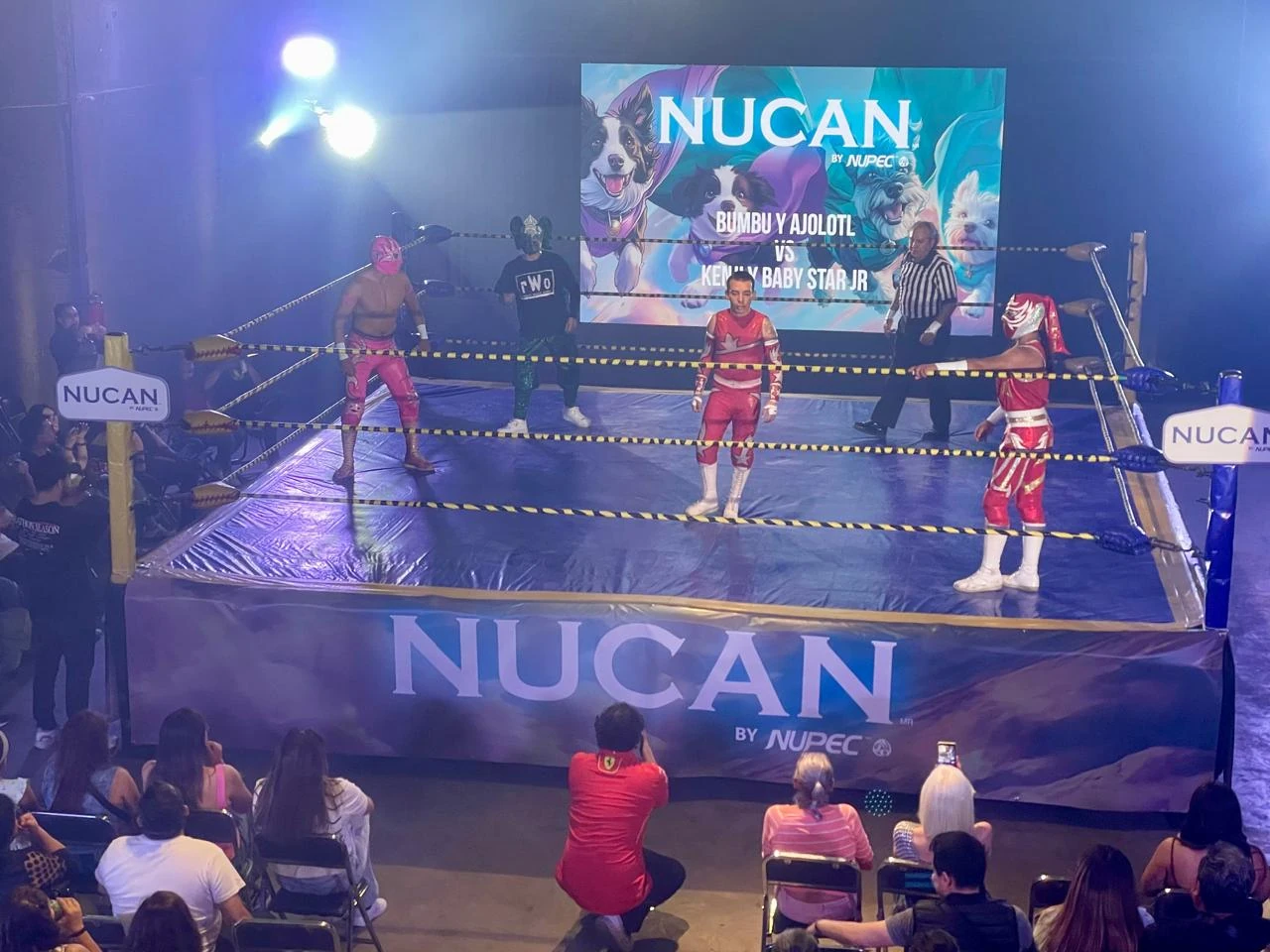 Show de Lucha Libre para eventos en CDMX