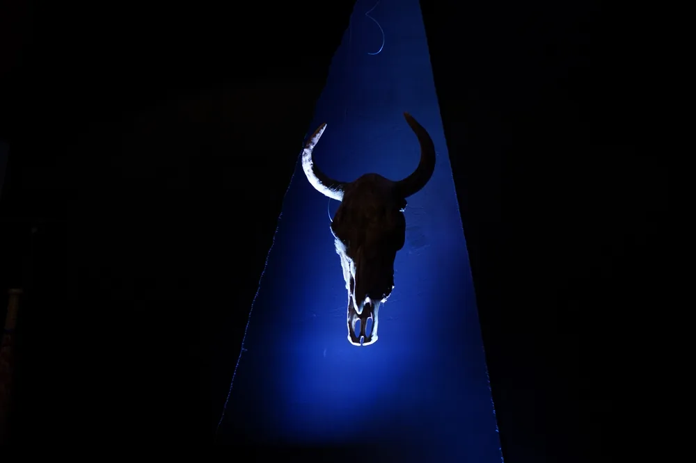 Decoración de Halloween: cráneo de toro iluminado con luz azul