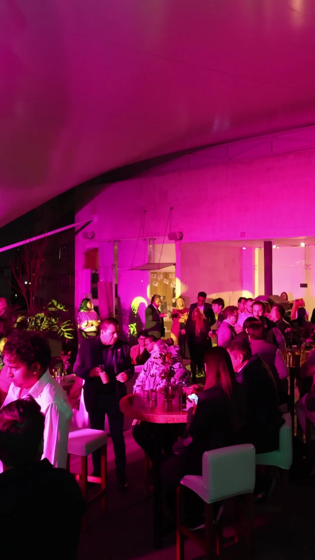 Terraza Condesa 3 — cóctel con iluminación de color