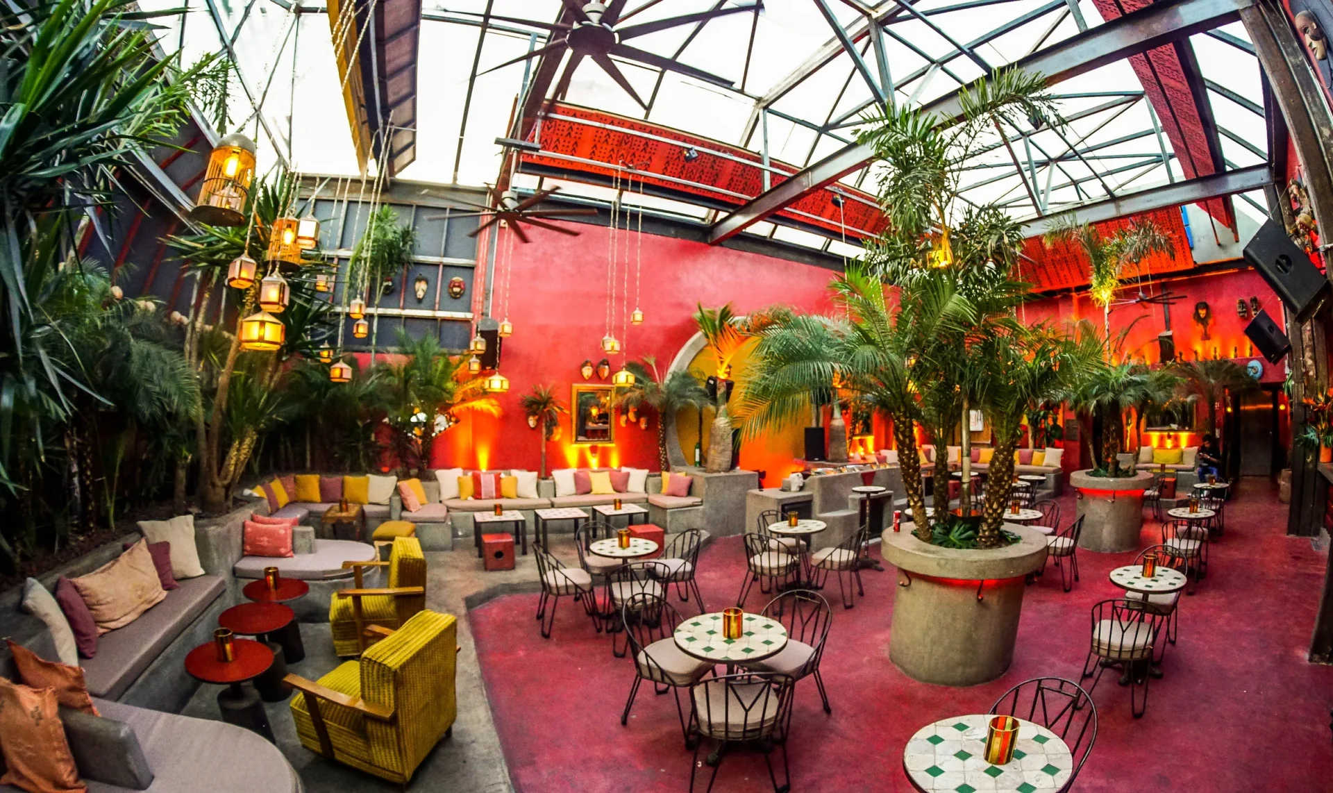 Terraza Roma 11 — panorámica del salón principal con muros terracota y palmeras