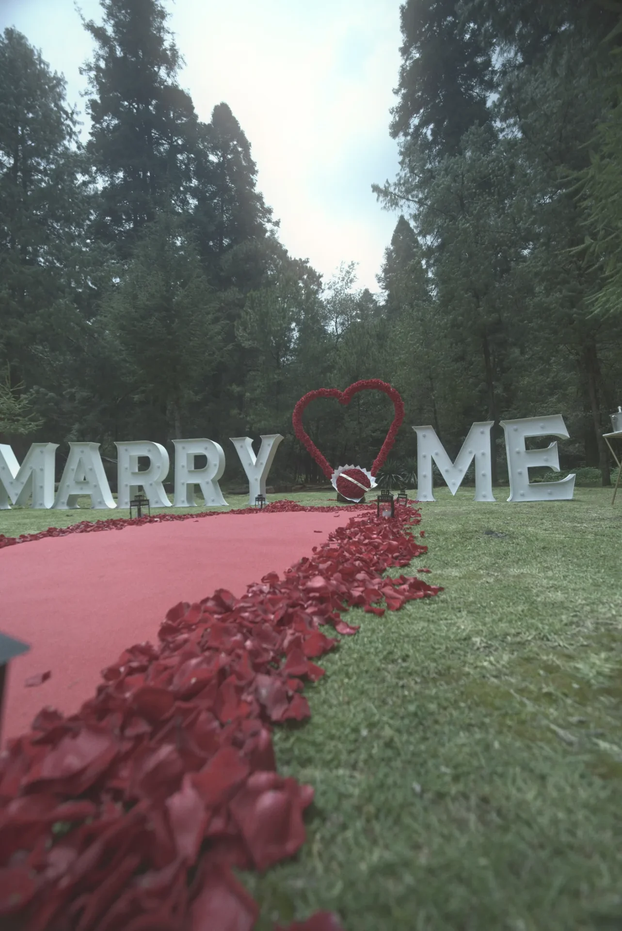 Alfombra roja con pétalos de rosa hacia las letras MARRY ME