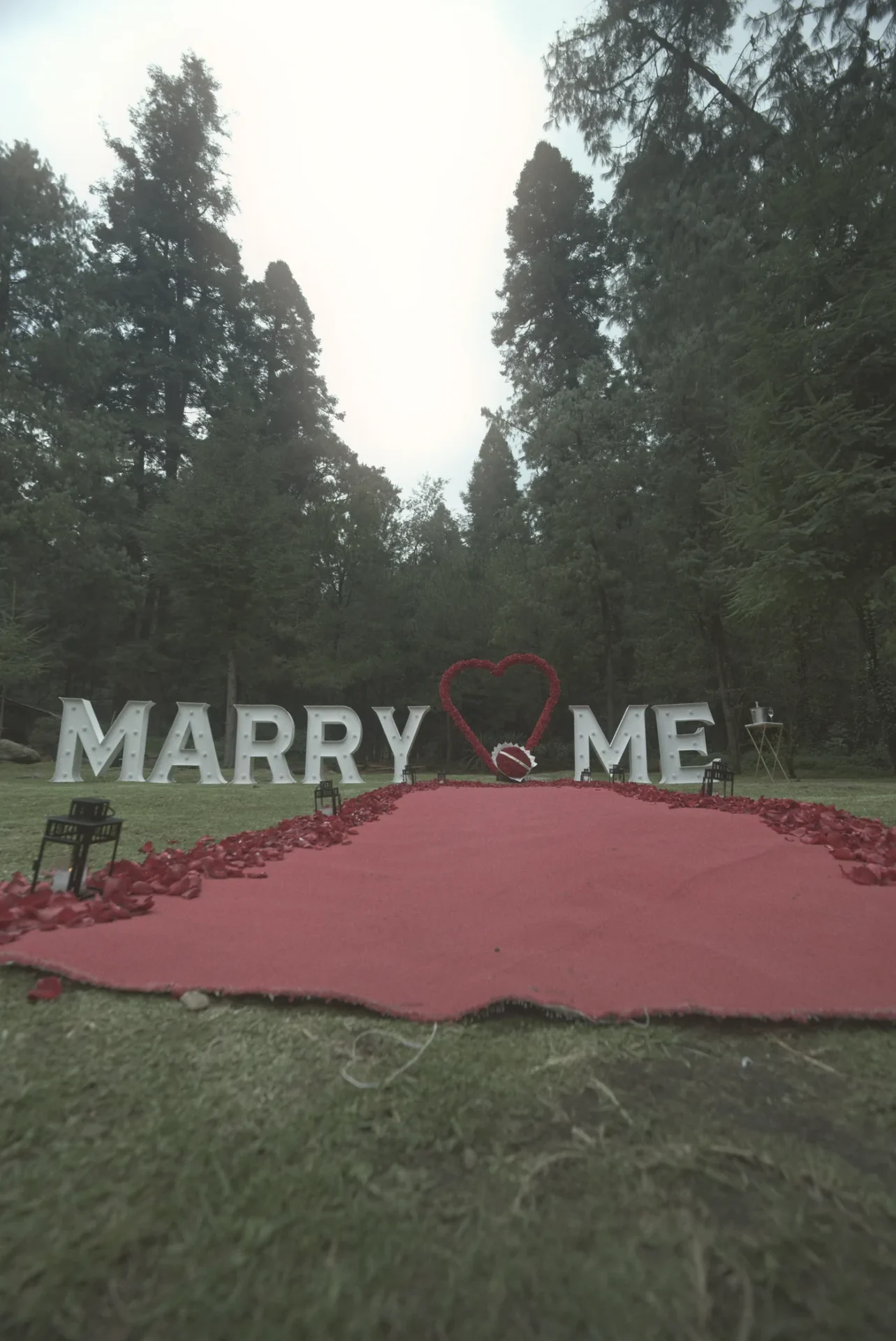 Alfombra roja que lleva a las letras MARRY ME entre pinos