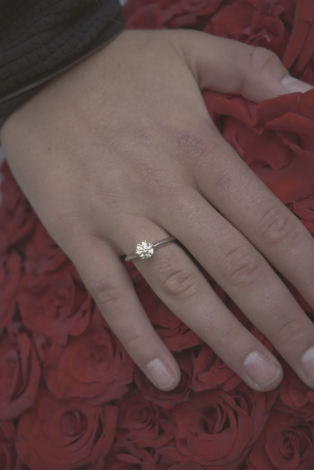 Anillo de compromiso en la mano sobre rosas rojas