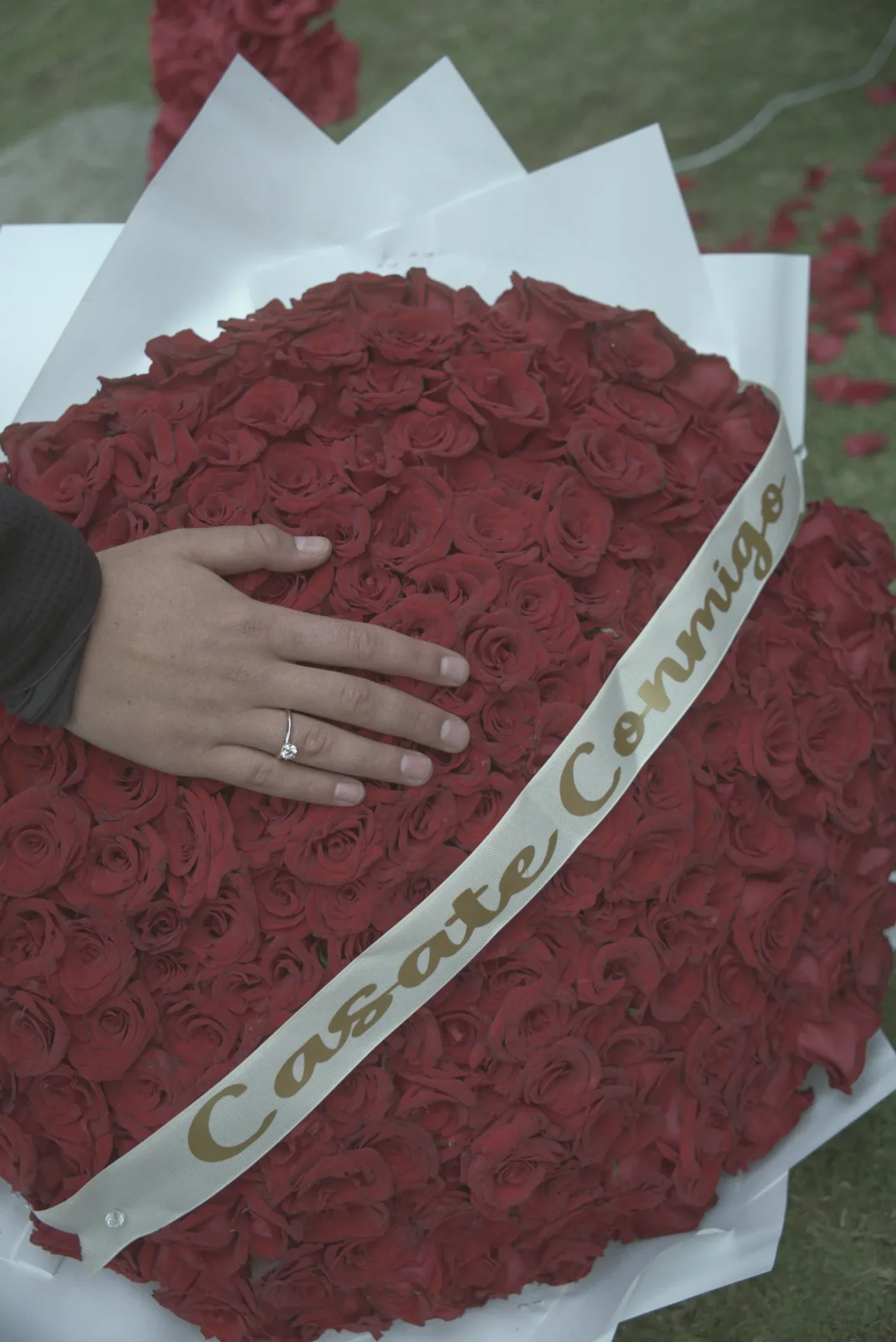 Caja de rosas rojas con listón Cásate conmigo para pedida de mano