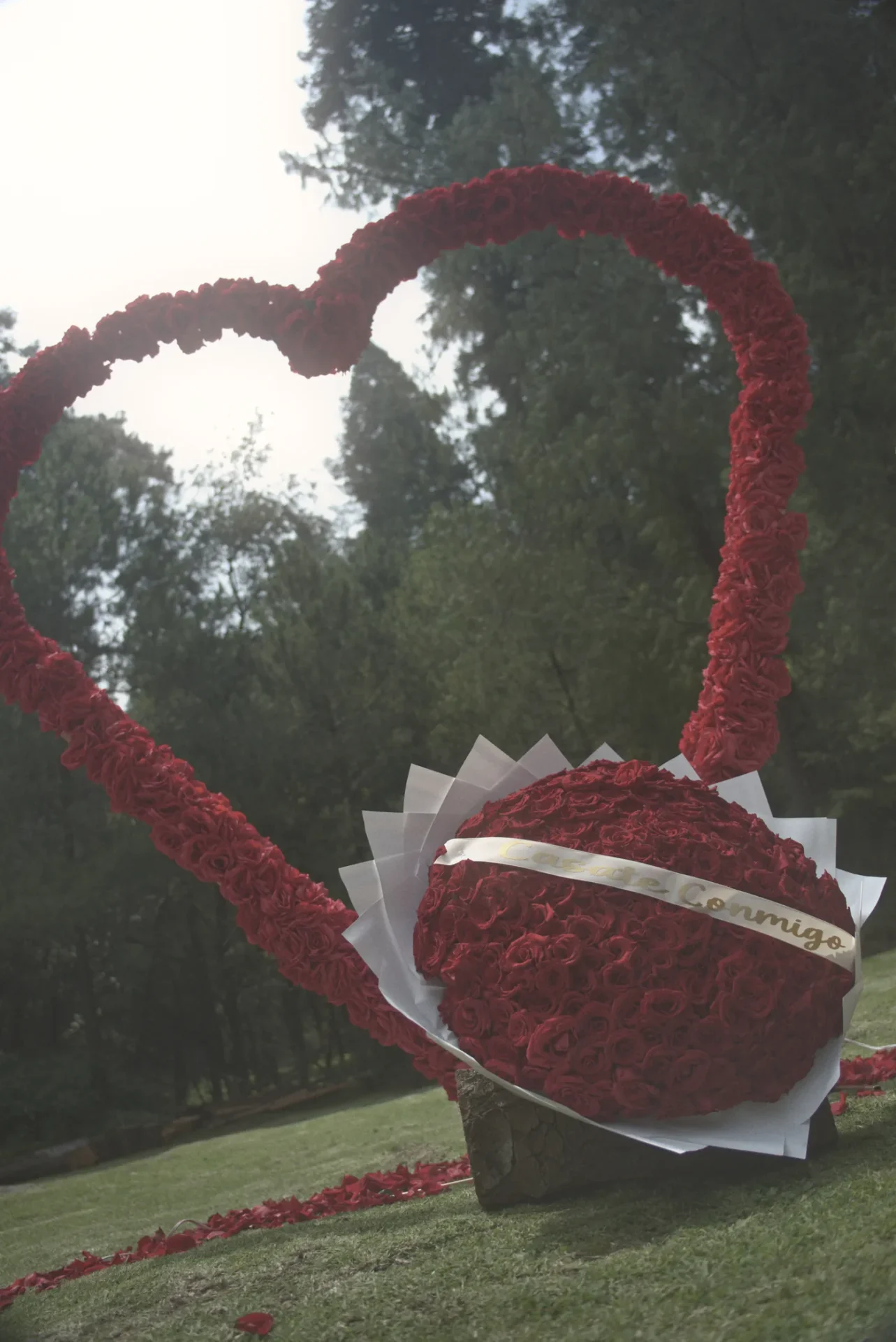 Corazón de rosas con caja Cásate conmigo en una pedida de mano en el bosque