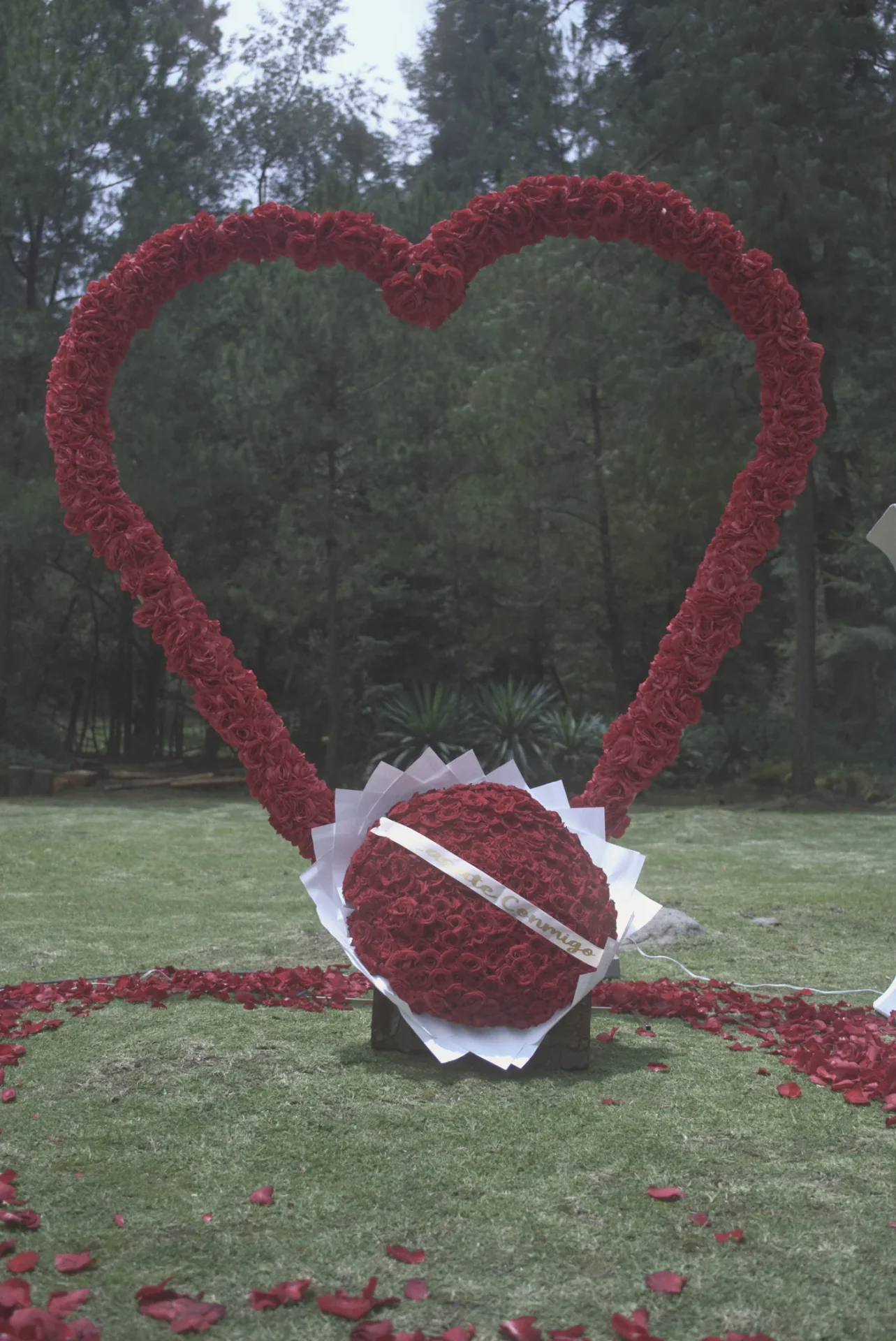 Corazón gigante de rosas rojas con caja de rosas al centro para pedida de mano
