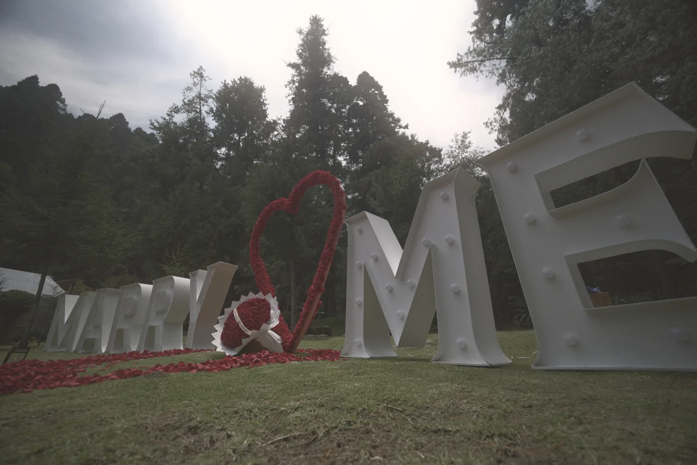 Letras gigantes iluminadas ME de una pedida de mano entre árboles