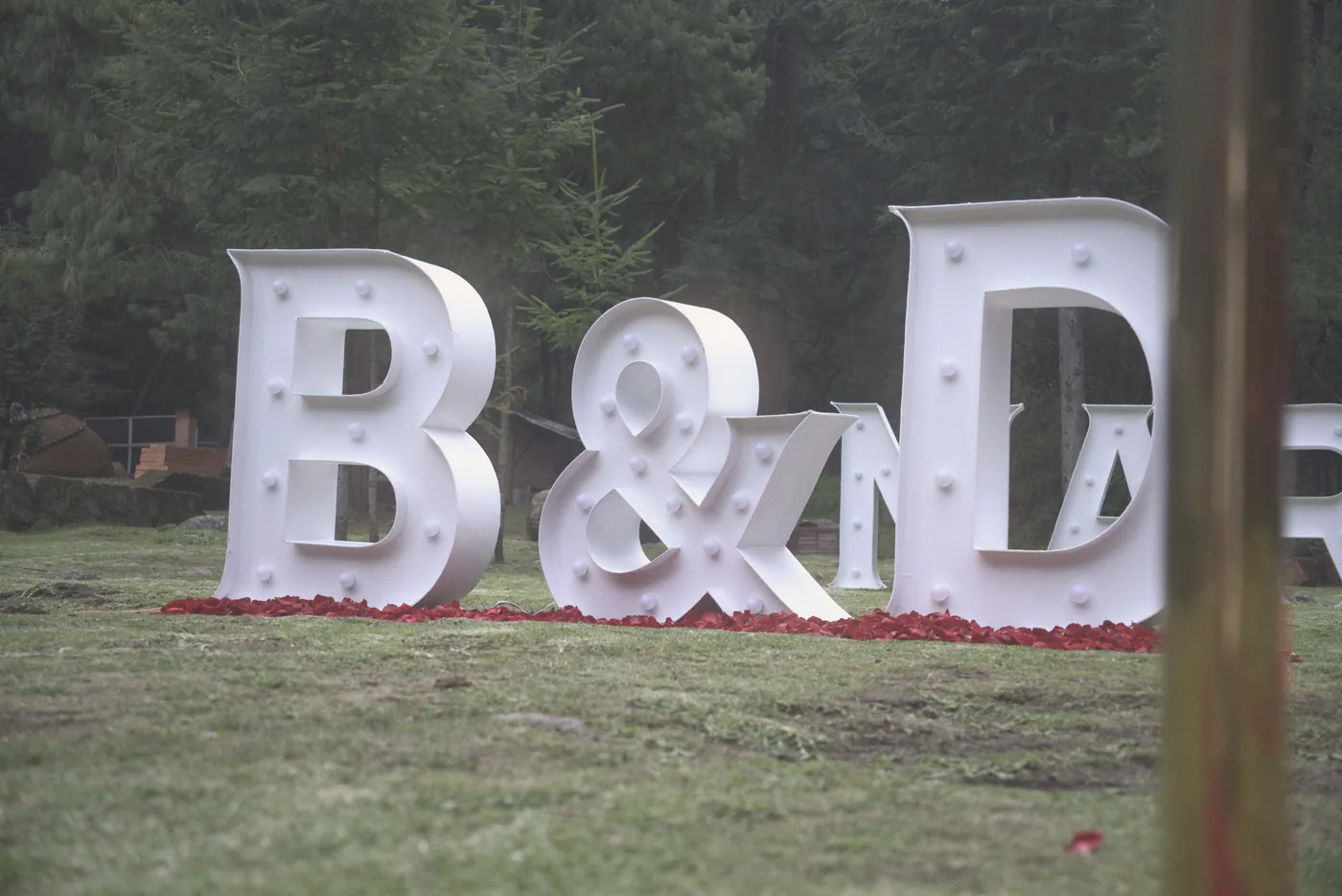 Letras gigantes con las iniciales de la pareja en una pedida de mano