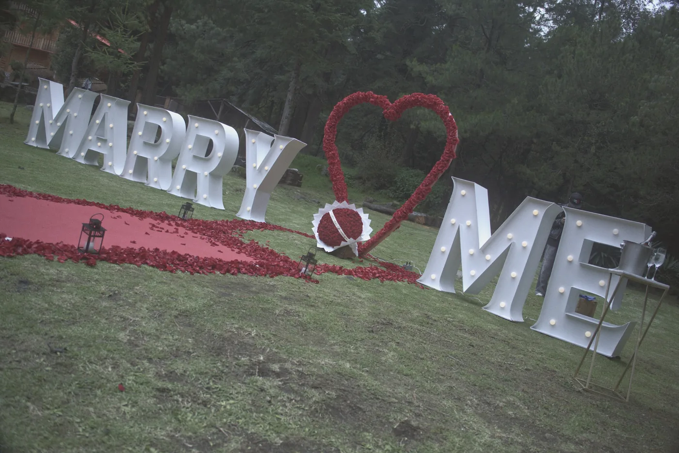 Pedida de mano en el bosque con letras gigantes MARRY ME y corazón de rosas rojas