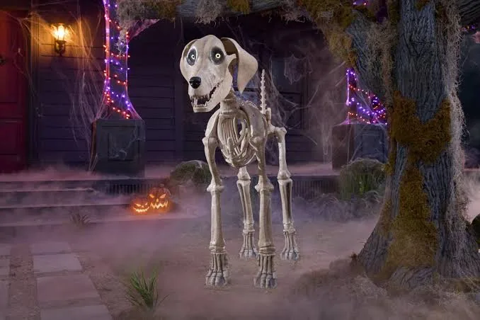 Animatrónico Perro Esqueleto de 1.68 m para renta en eventos de Halloween en CDMX